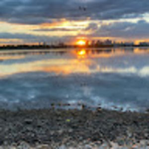 Meet your Posher, George